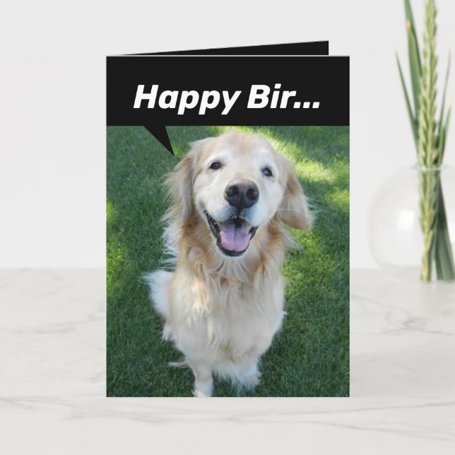 Hübscher Goldener Retriever vom Eichhörnchen abgel Karte (Vorderseite)