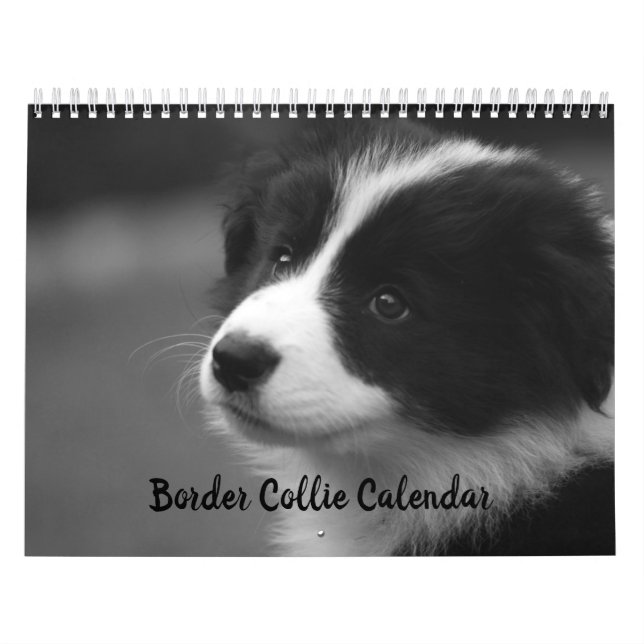 Hübscher Grenz-Kollie-Dog-Kalender Kalender (Titelbild)