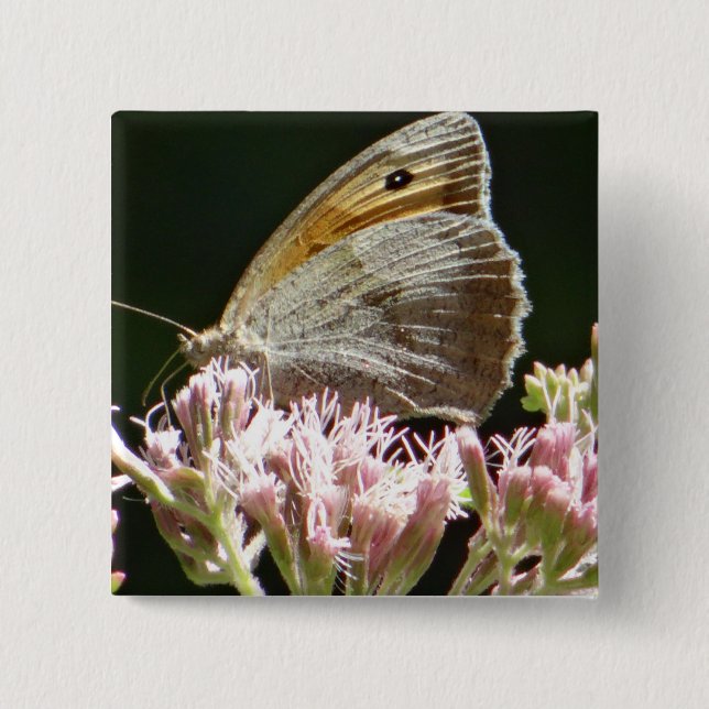 Hübscher Großschmetterling Button (Vorderseite)