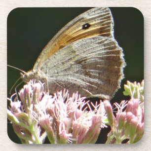 Hübscher Großschmetterling Getränkeuntersetzer