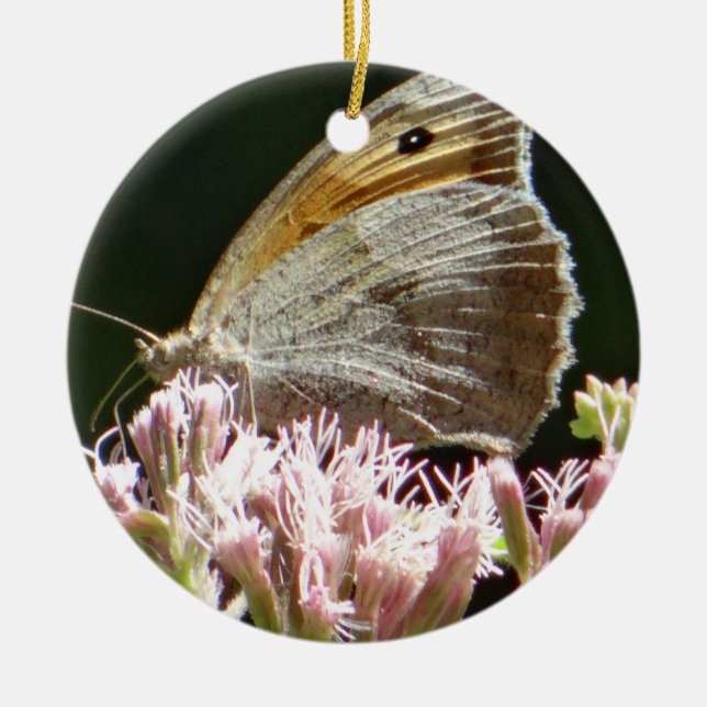 Hübscher Großschmetterling Keramik Ornament (Vorne)