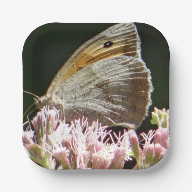 Hübscher Großschmetterling Pappteller (Vorderseite)