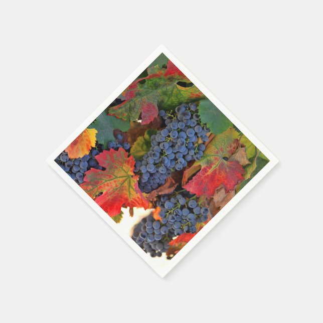 Hübscher Herbstfarbener Wein Weinkultur und Erde Serviette (Ecke)