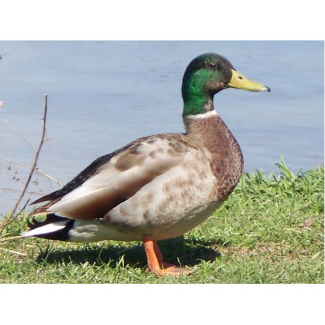 Hübscher Junge Freistehende Fotoskulptur (Vorne)