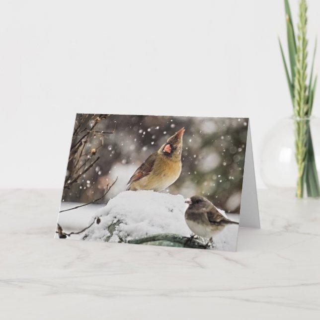 Hübscher Kardinal in der Schneefallkarte Karte (Vorderseite)