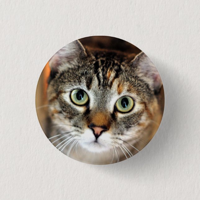 Hübscher Kitty-Katzen-Knopf Button (Vorderseite)