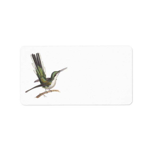 Hübscher kleiner grüner Hummingbird aus Rene Lesso Adressaufkleber (Vorne)