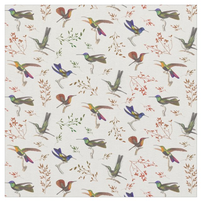 Hübscher kleiner Hummingbird Stoff (Nahaufnahme)