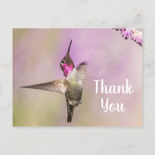 Hübscher Kolibri posiert um Danke zu sagen Postkarte