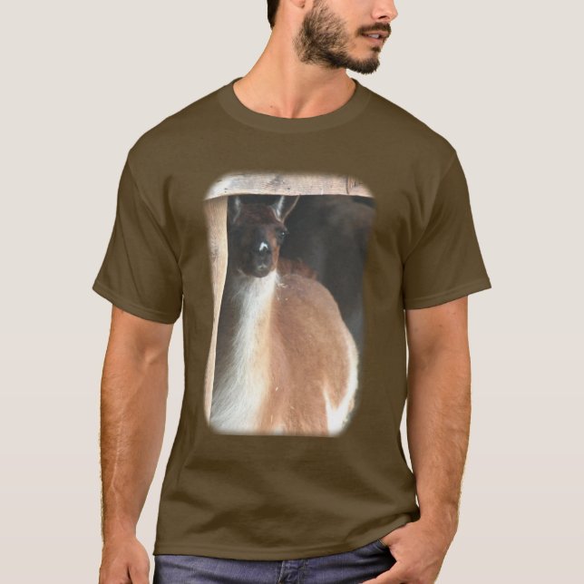 Hübscher Lama-Zuchttier T-Shirt (Vorderseite)