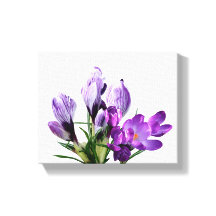 Hübscher lila Crocus floralmodern blumendigital