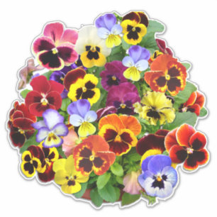 Hübscher Pansy Display Contour Sticker