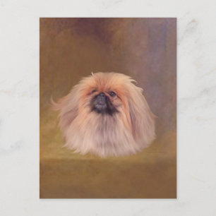 Hübscher Pekingese Postkarte