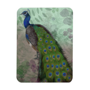 Hübscher Pfau Magnet