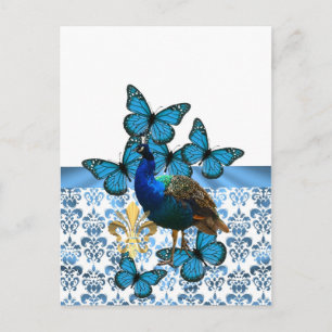 Hübscher Pfau und blaue Schmetterlinge Postkarte