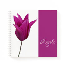 Hübscher Pink Tulpe-Blues-Name der Angela