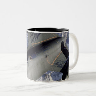 Hübscher Raum Zweifarbige Tasse