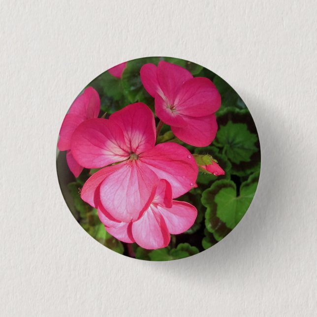 Hübscher Rosa Geranium-Foto Button (Vorderseite)