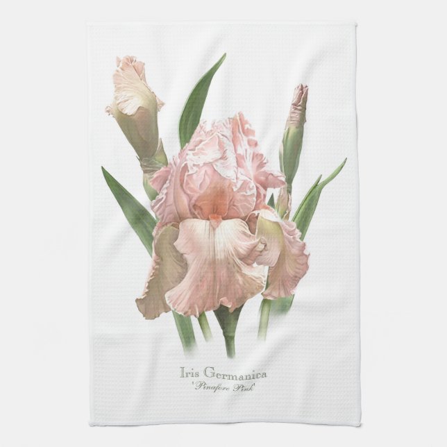 Hübscher Rosa-Ruffled Iris Botanischer Stil Geschirrtuch (Vertikal)