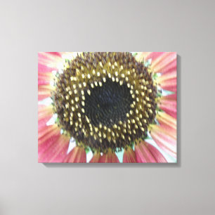 Hübscher rosa Sonnenblumen-Leinwanddruck Leinwanddruck