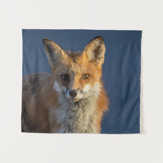 Hübscher Rotfuchs  Wandteppich (Vorderseite (Horizontal))