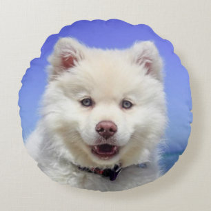 Hübscher Samojede-Hund Rundes Kissen