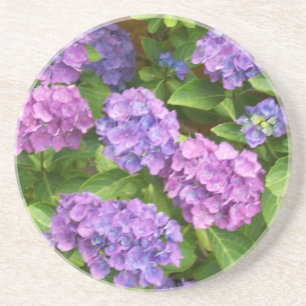 Hübscher Sandstein-Untersetzer, rosa, blaue Hydran Sandstein Untersetzer