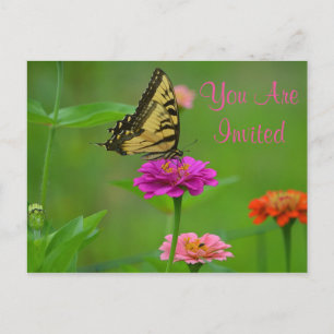 Hübscher Schmetterling auf Einladung von Zinnia Postkarte