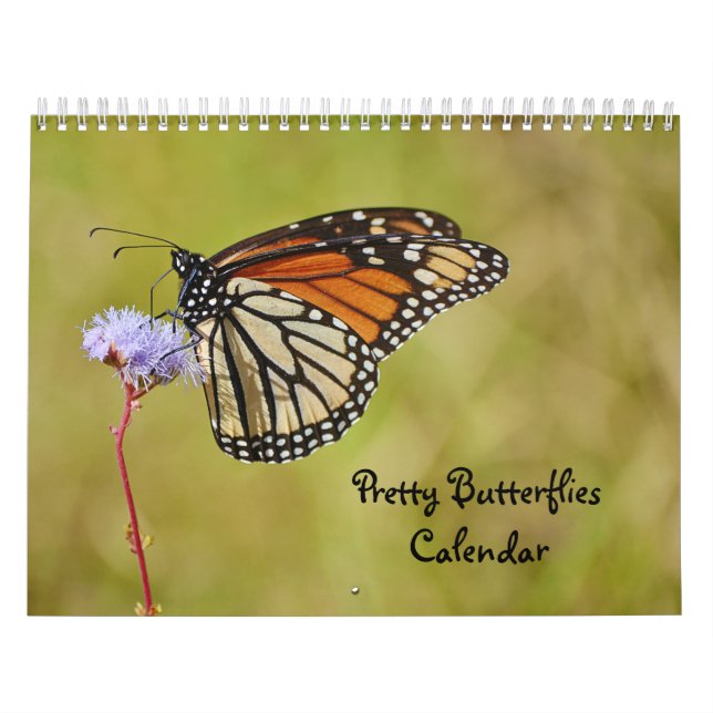 Hübscher Schmetterlingskalender Kalender (Titelbild)