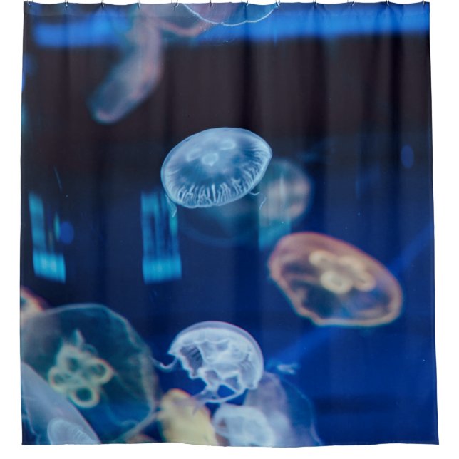 Hübscher Seeverkehr Duschvorhang (Vorderseite)