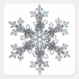 Hübscher Single Schneeflocke Quadratischer Aufkleber