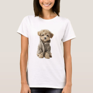 Hübscher Toy Poodle-Welpe in kuscheligem gestrickt T-Shirt