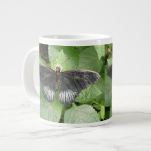 Hübscher Tropenschmetterling und Tasse der Blume