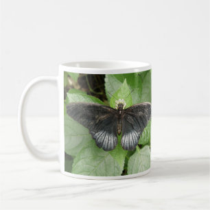 Hübscher Tropenschmetterling und Tasse der Blume