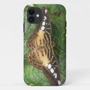 Hübscher Tropical Clipper Butterfly iPhone Case
