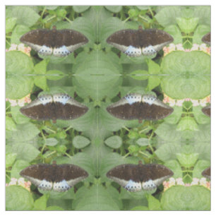 Hübscher Tropischer Schmetterling Gemusterter Tier Stoff