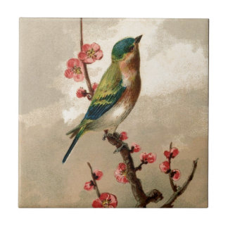 Hübscher Vintage-Vogel Fliese