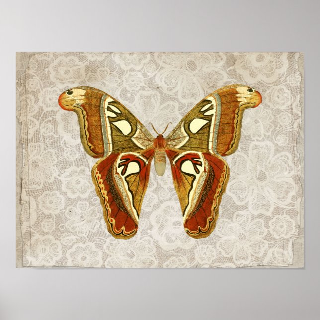 Hübscher Vintager Moth Botanical Poster (Vorne)