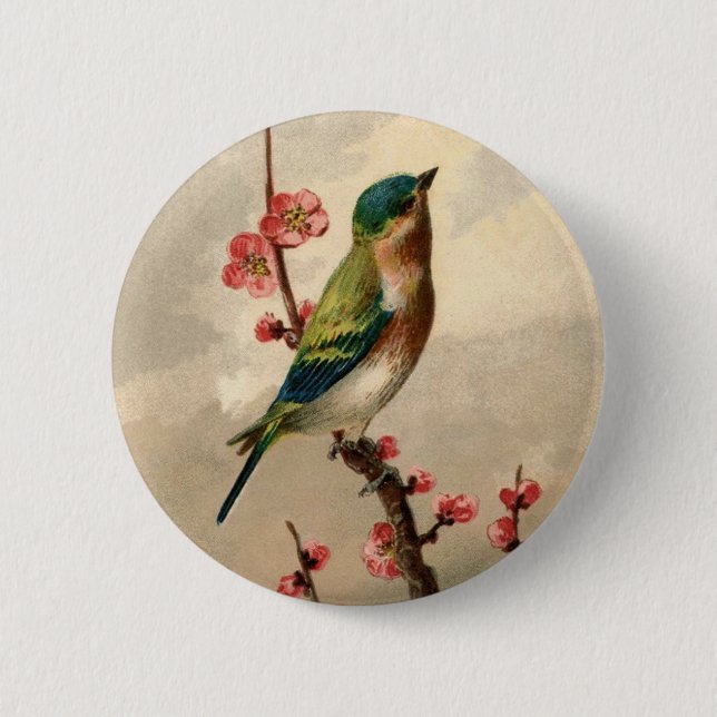 Hübscher Vintager Vogel Button (Vorderseite)