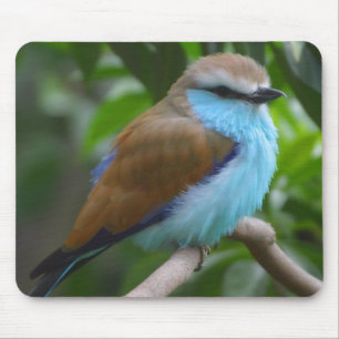 Hübscher Vogel Mousepad
