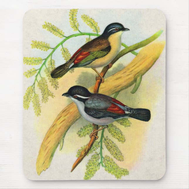 hübscher Vogeldruck Mousepad (Vorne)
