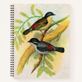 hübscher Vogeldruck Notizbuch