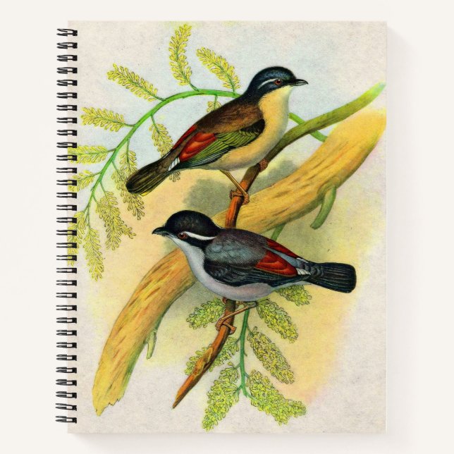 hübscher Vogeldruck Notizbuch (Vorderseite)