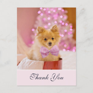 Hübscher Weihnachts Hund mit rosa Schleife Foto Da Postkarte
