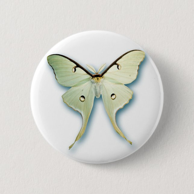 Hübscher weißer Schmetterlings-Entwurf Button (Vorderseite)
