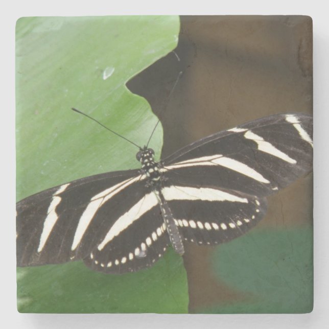 Hübscher Zebra Longwing Butterfly Stone Untersetze Steinuntersetzer (Vorderseite)