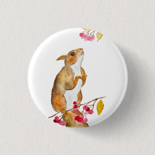 Hübsches Aquarellhörnchen auf einem Zweig mit Beer Button