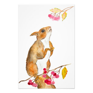 Hübsches Aquarellhörnchen auf einem Zweig mit Beer Fotodruck