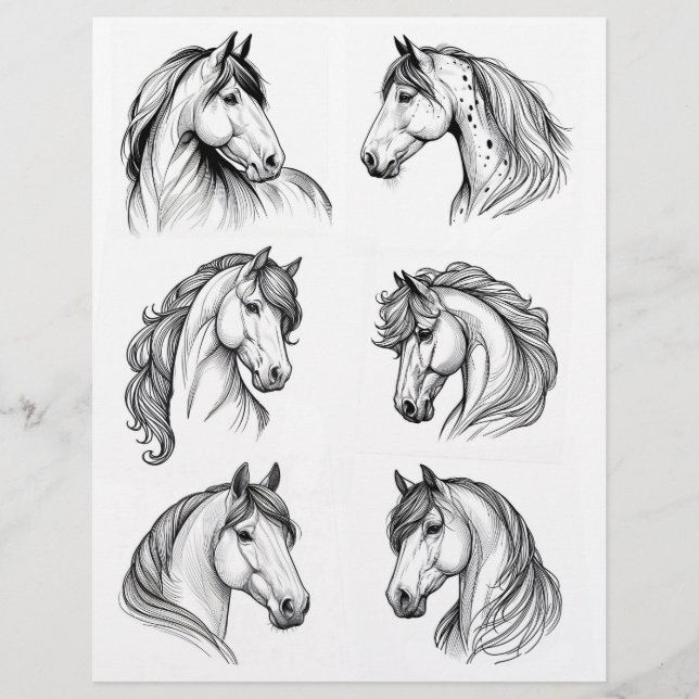 Hübsches B&W Horse Head Line Art Drawing (Vorderseite)