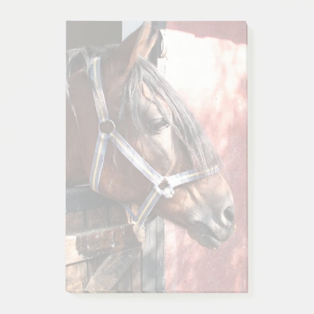 Hübsches Bay Horn im sonnigen Stall Post-it Klebezettel (Vorderseite)